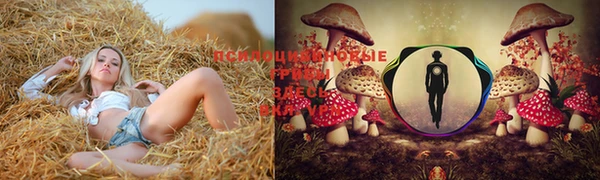 винт Абдулино