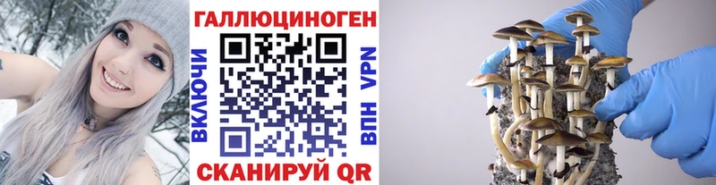Галлюциногенные грибы Psilocybe  сколько стоит  Берёзовка 